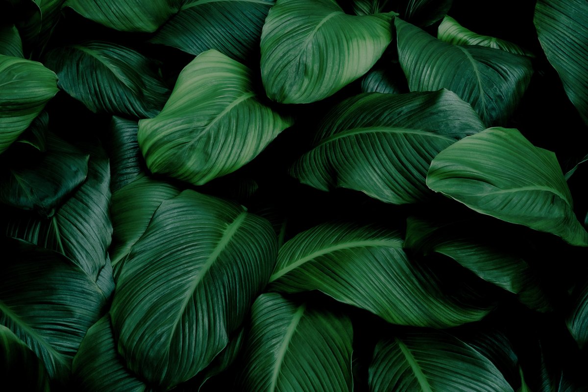 Ingredient Breakdown: Seventh Generation Cleaning Products Full Contents Revealed